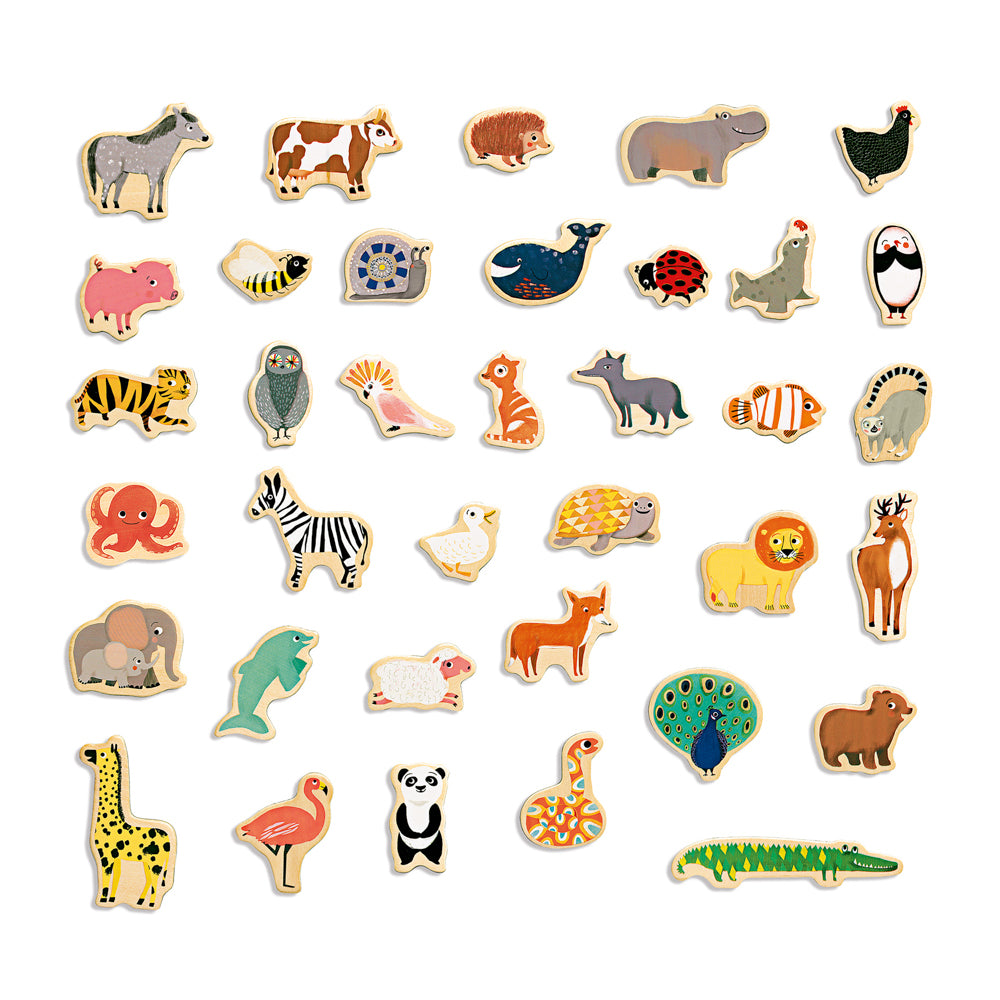 Magnetic Magnimo Set