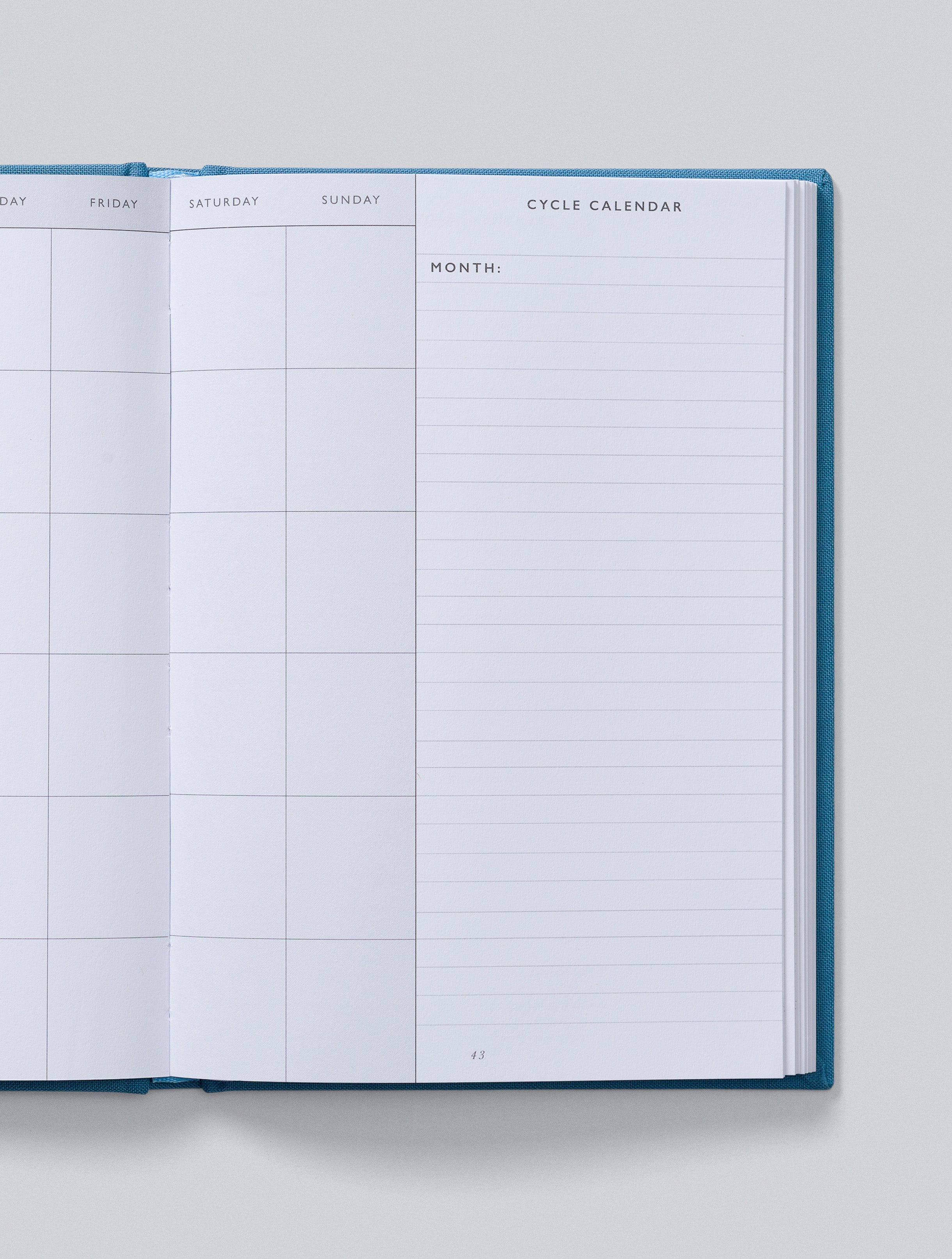 IVF Journal | Blue
