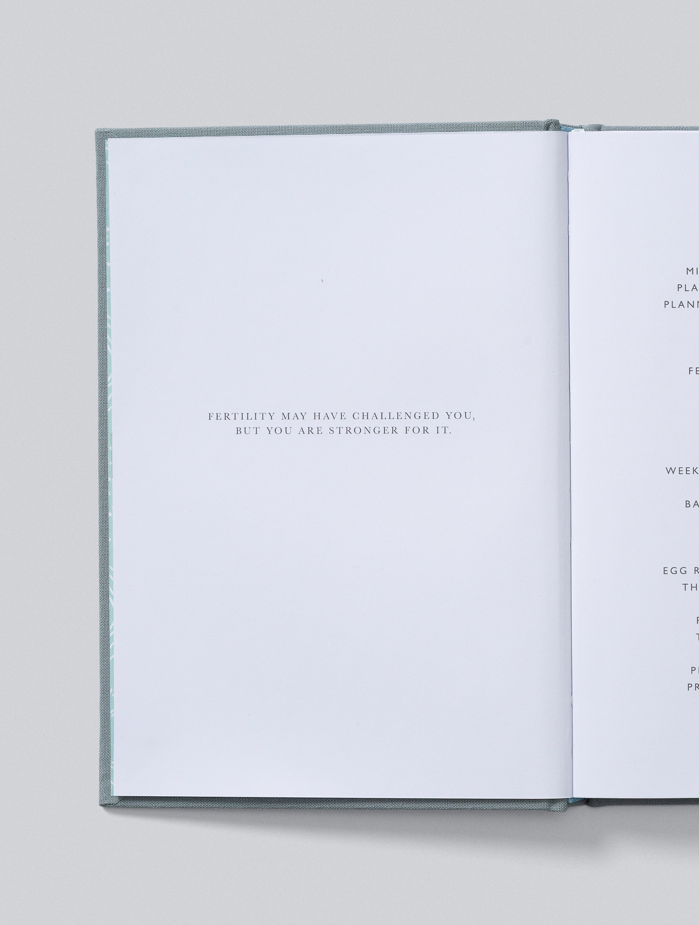 IVF Journal | Blue