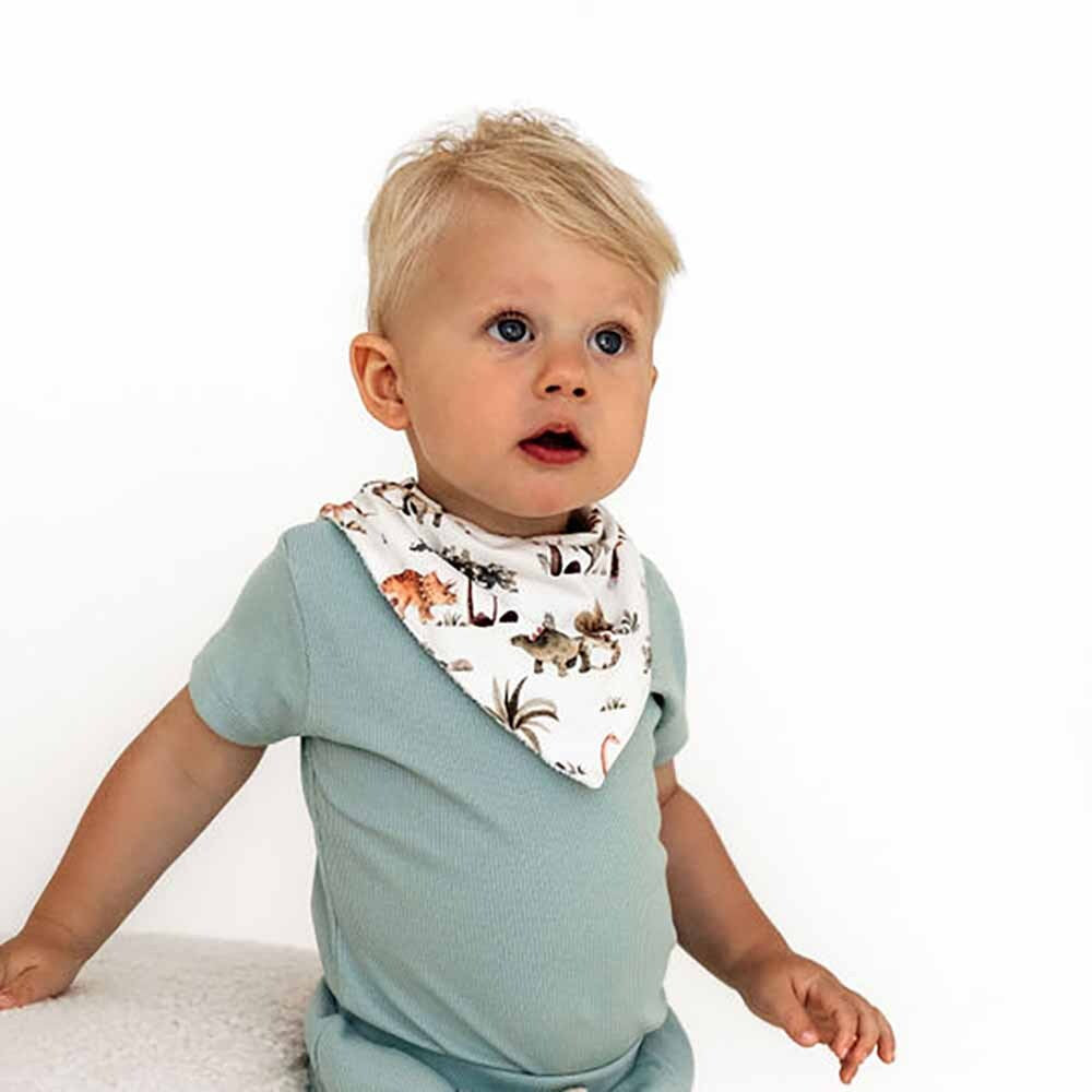 Dino Dribble Bib | Organic