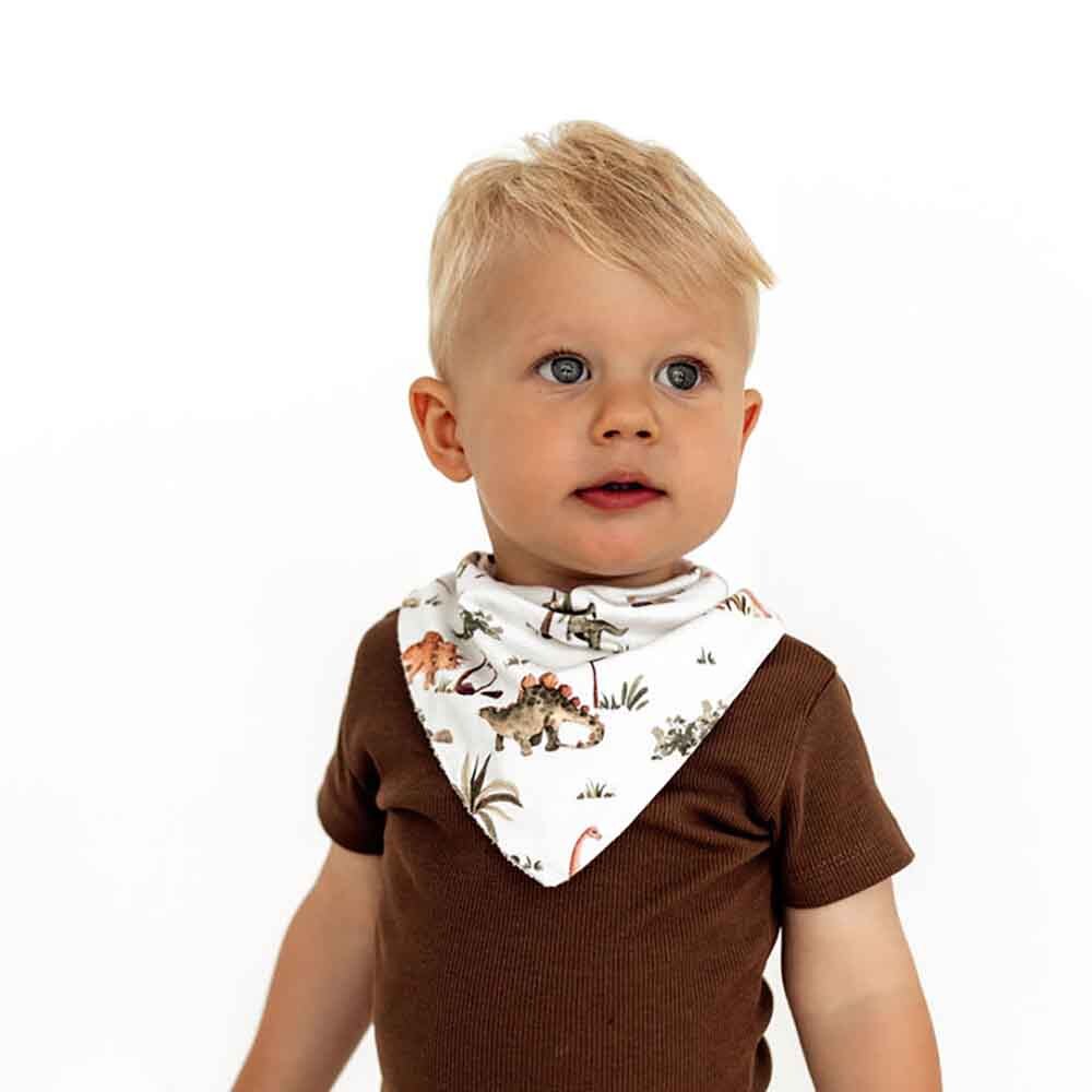 Dino Dribble Bib | Organic