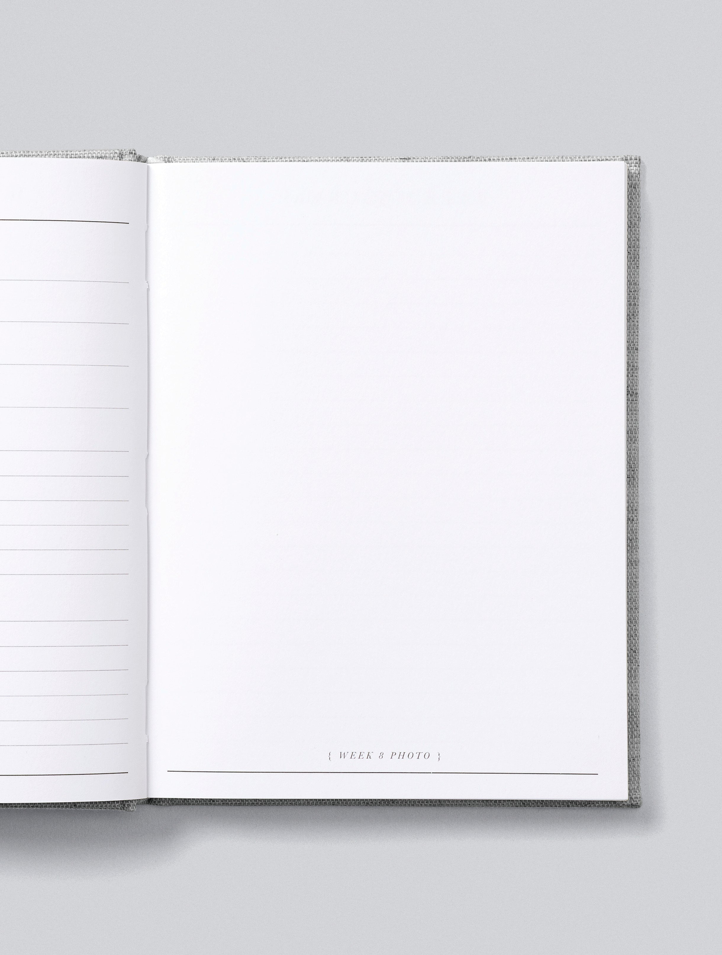 Bump | A Pregnancy Story