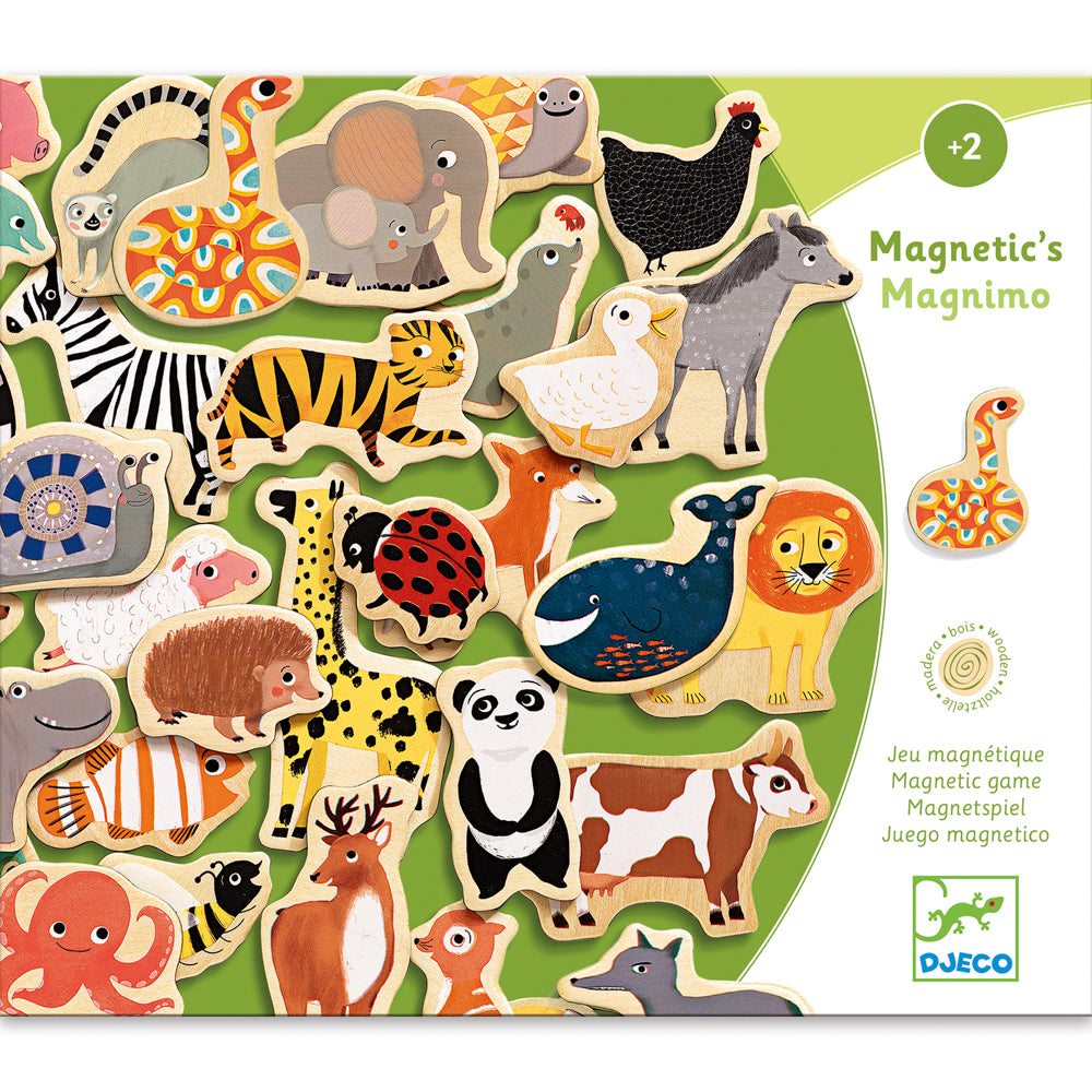 Magnetic Magnimo Set