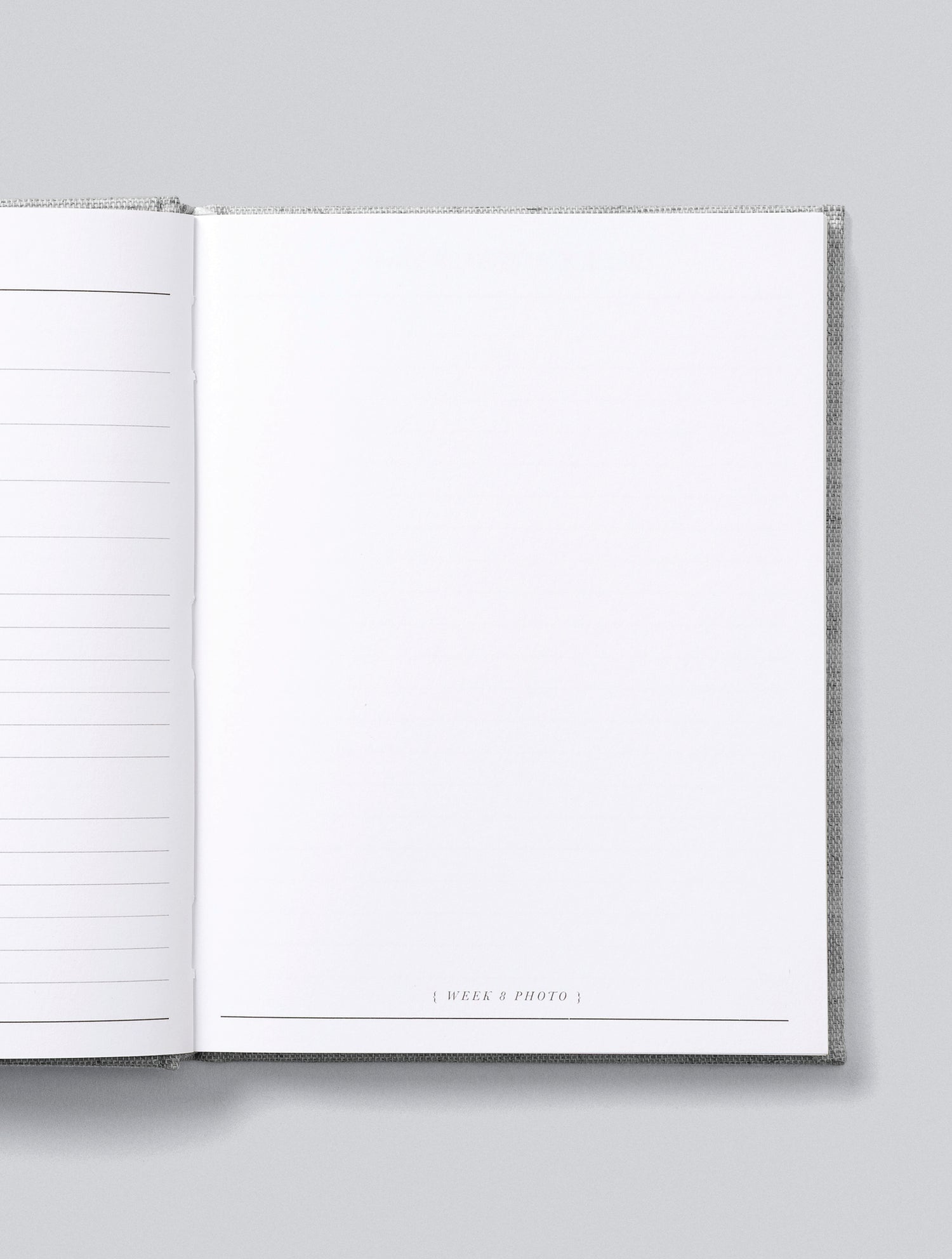 Bump | A Pregnancy Story