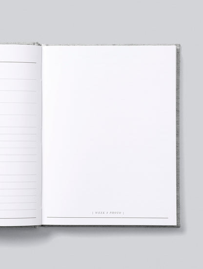 Bump | A Pregnancy Story